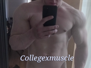 Collegexmuscle