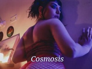 Cosmosis