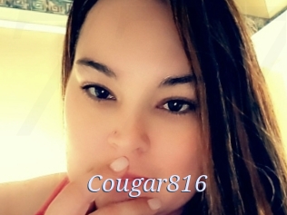 Cougar816