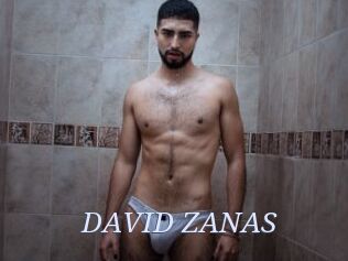 DAVID_ZANAS