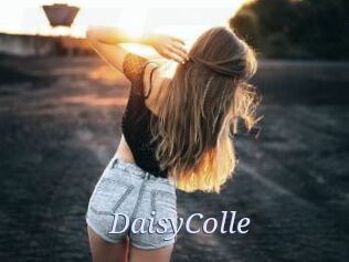 DaisyColle