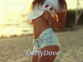 DaisyDove