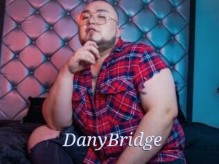 DanyBridge