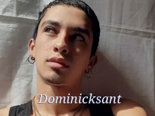 Dominicksant