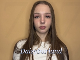 Daisyburland