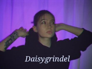 Daisygrindel