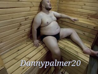 Dannypalmer20