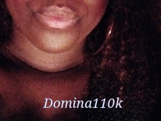 Domina110k