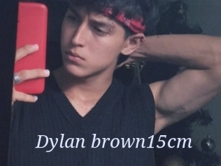 Dylan_brown15cm