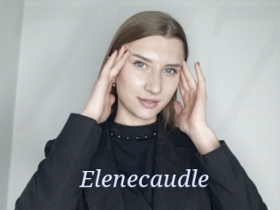 Elenecaudle