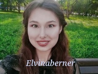 Elvinaberner