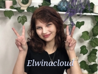Elwinacloud