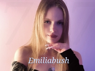 Emiliabush