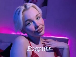 Evapurr