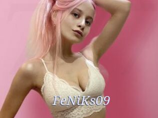 FeNiKs09