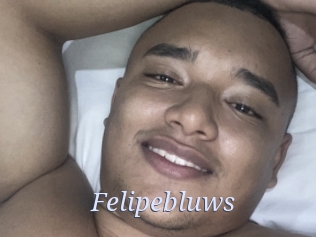 Felipebluws