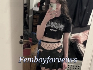 Femboyforveiws