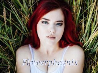 Flowerphoenix