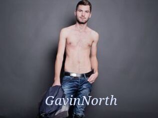 GavinNorth