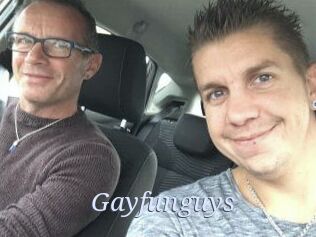 Gayfunguys