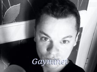 Gayminet