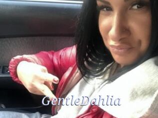 GentleDahlia