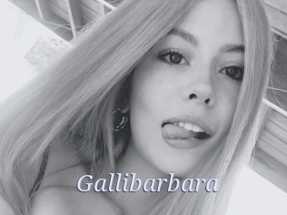 Gallibarbara