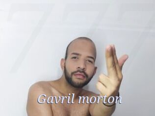 Gavril_morton