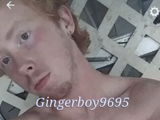 Gingerboy9695