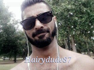 Hairydude87