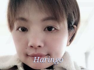 Haringo