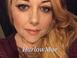 Harlow_Mae