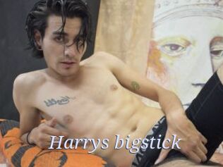 Harrys_bigstick