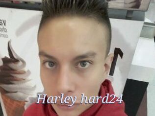 Harley_hard24