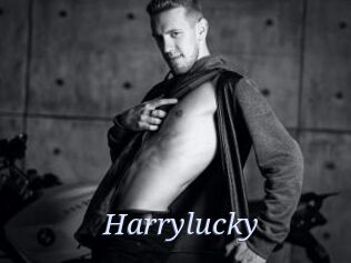 Harrylucky