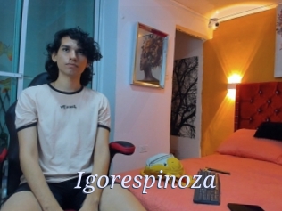 Igorespinoza