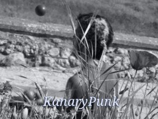 KanaryPunk