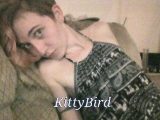 KittyBird