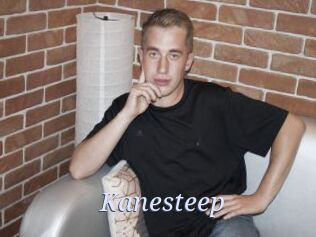 Kanesteep