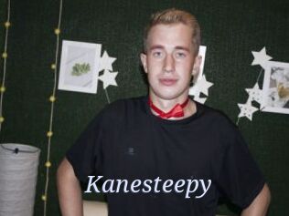 Kanesteepy