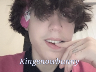 Kingsnowbunny