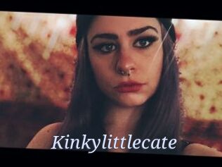 Kinkylittlecate