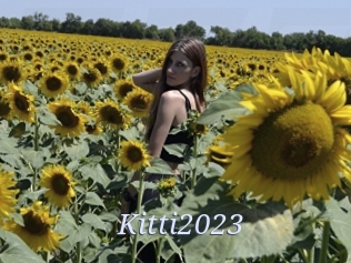 Kitti2023