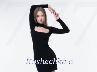 Koshechka_a