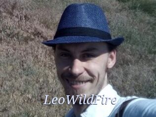 LeoWildFire