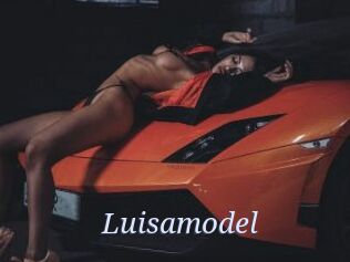 Luisamodel