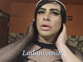 Ladanivenus