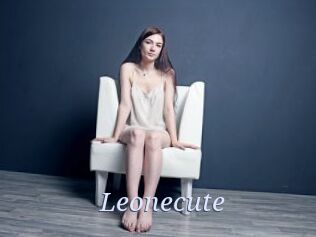 Leonecute