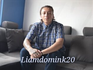 Liamdomink20