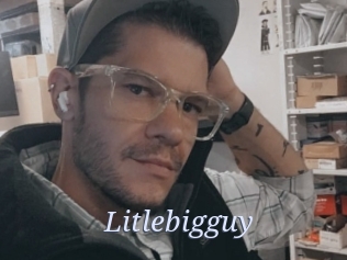 Litlebigguy